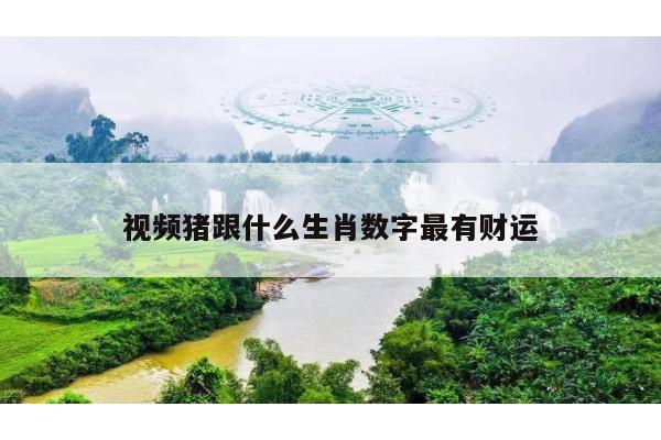 视频猪跟什么生肖数字最有财运