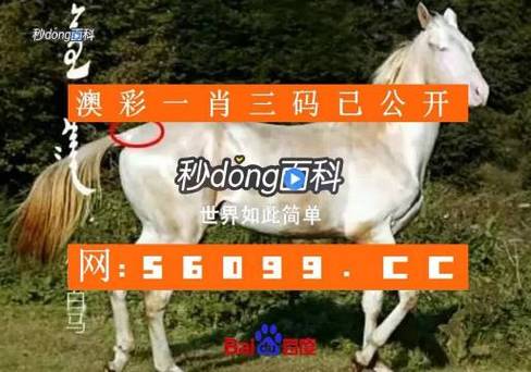 新澳彩资料免费资料大全33图库:穆迪下调美信用评级