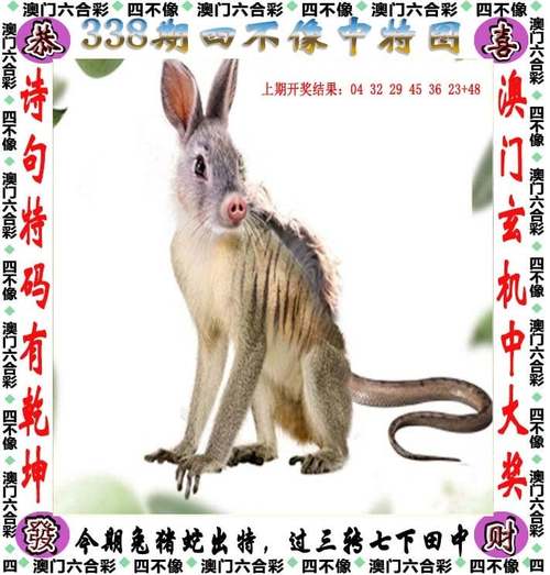 澳彩资料大全部网站010:小区像现实版玩具屋