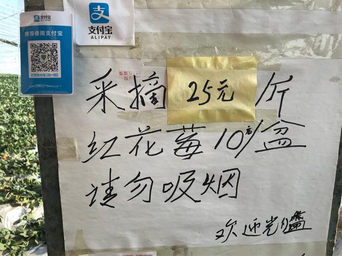 新澳2025年最新版资料柳媚花明:不得给家长布置作业