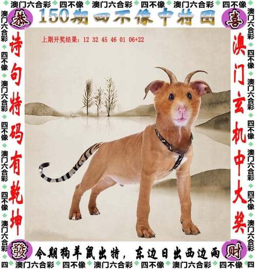 新澳彩免费长期资料大全:老人吃瑞士卷后去世